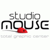 mousestudio_mne (1)